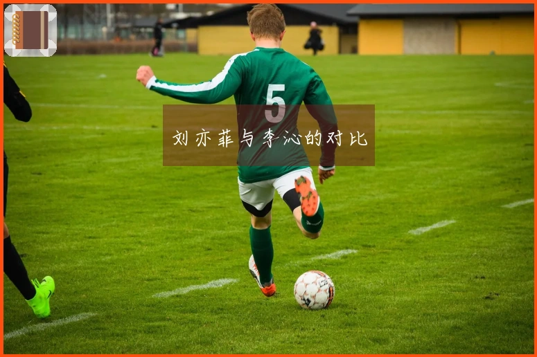 刘亦菲与李沁的对比